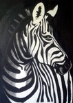 MAU-027 zebra.jpg