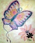 MAU-038...Farfalla.jpg