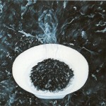 MAU-052-partic 2di5.jpg