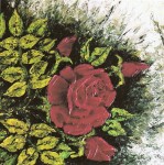 MAU-055-rose rosse per te.jpg