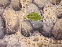 dipinto2018_ 072.jpg