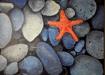 dipinto2018_ 073.jpg